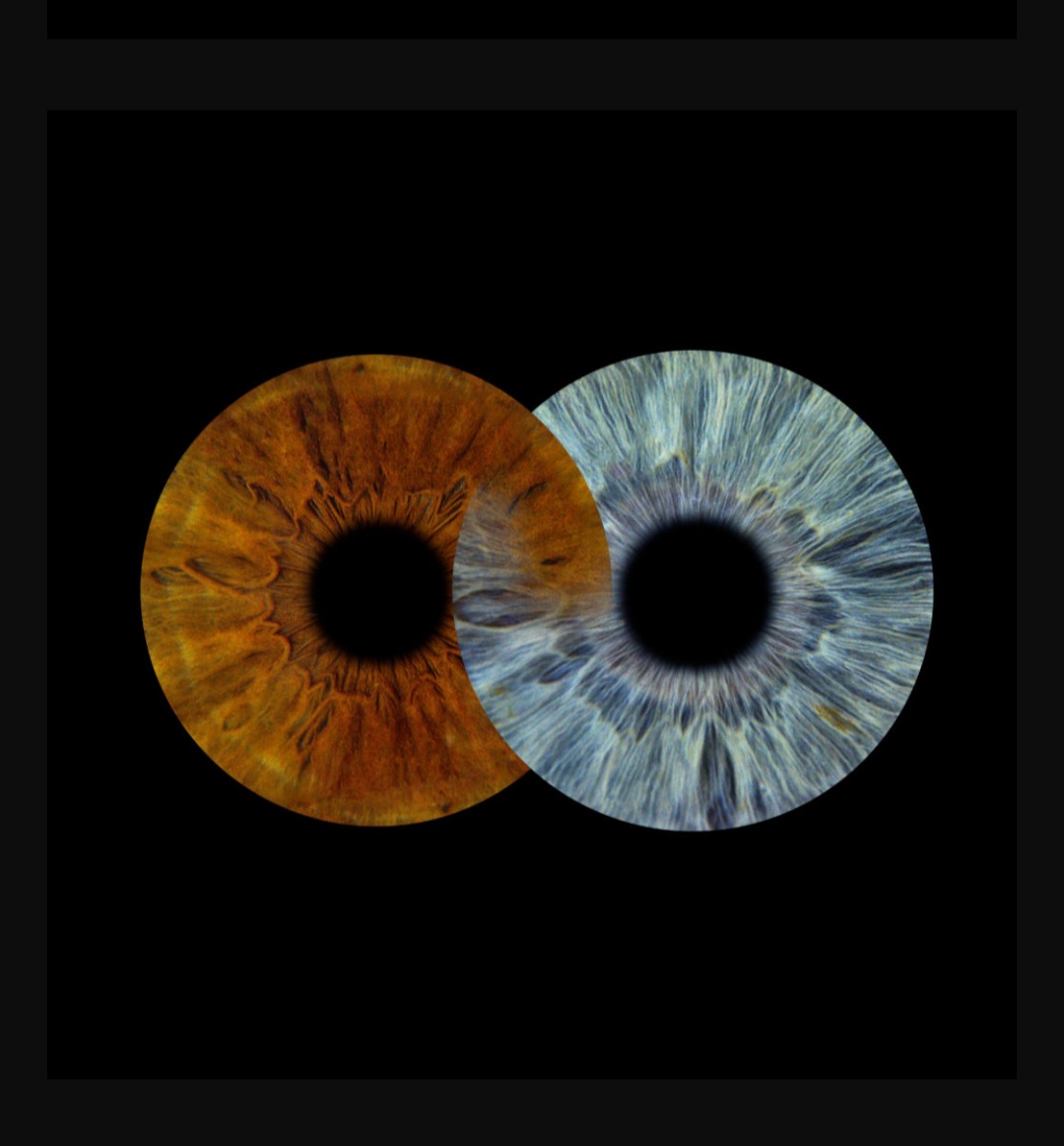 Iris infini