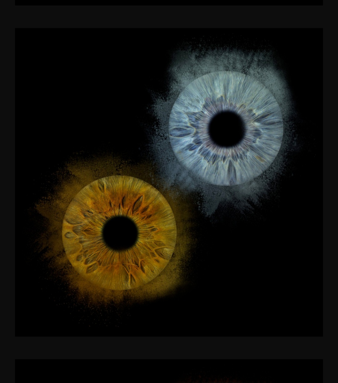 Iris poussiere double