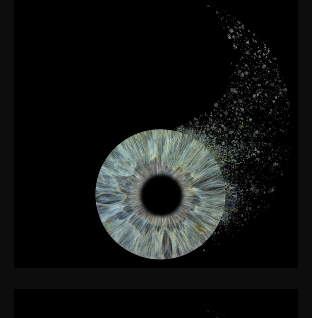 Iris poussiere