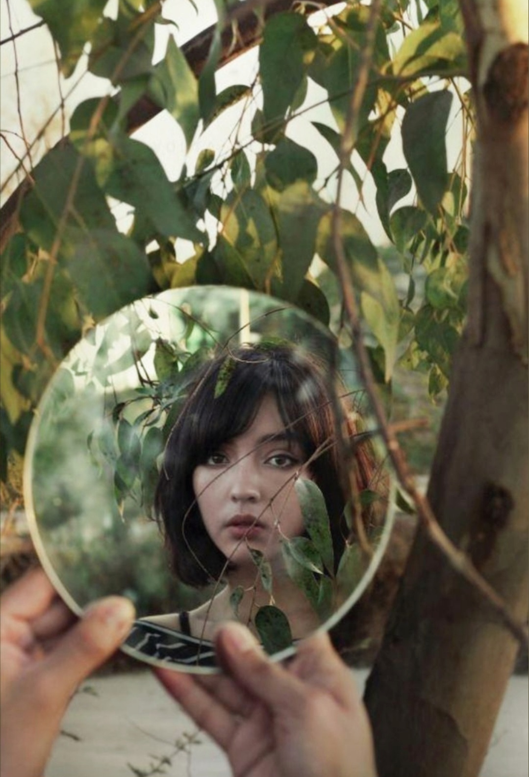 miroir