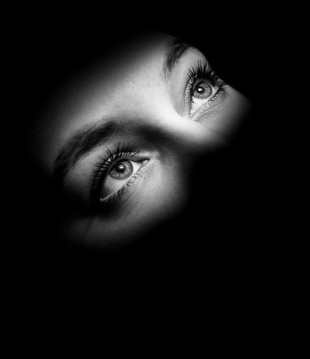 regard