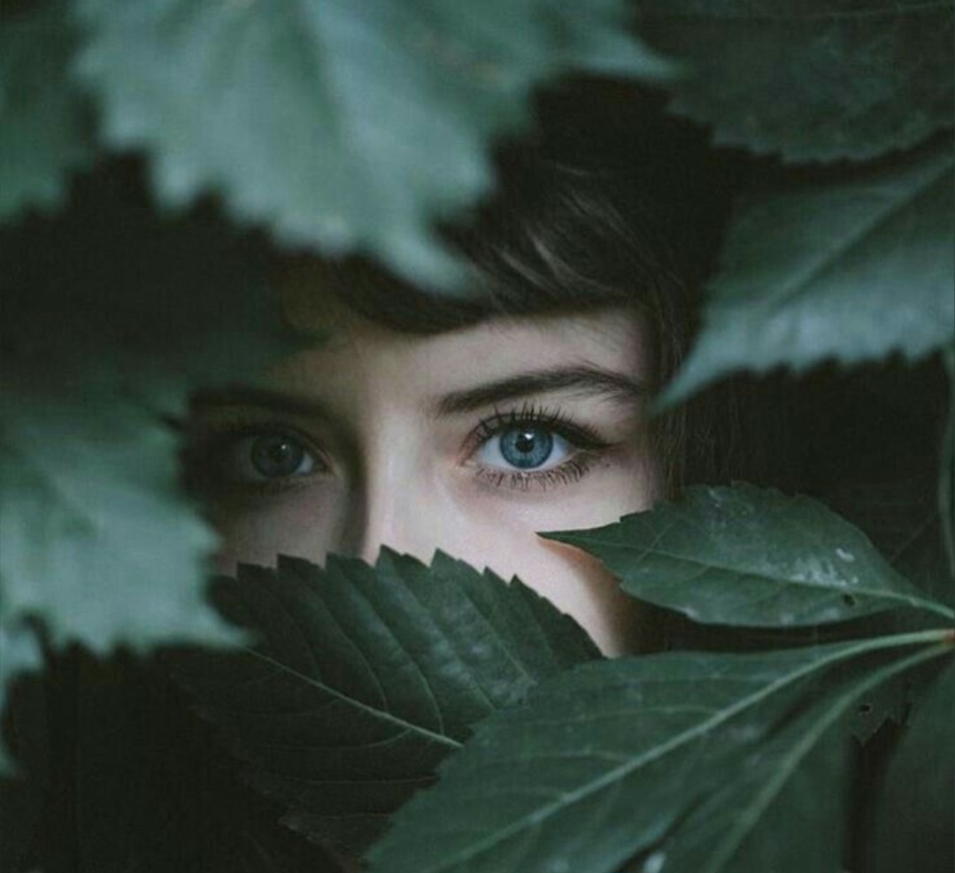 regard