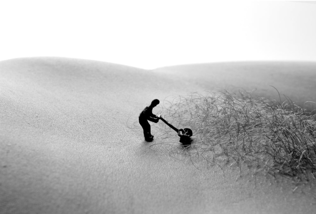 miniatures